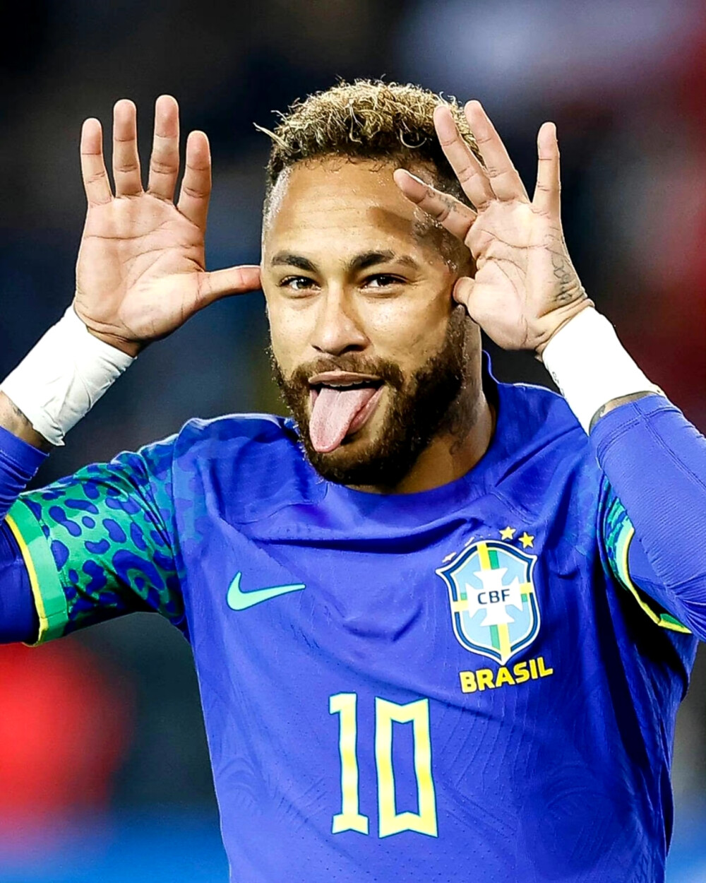 他们曾多次 他们曾多次