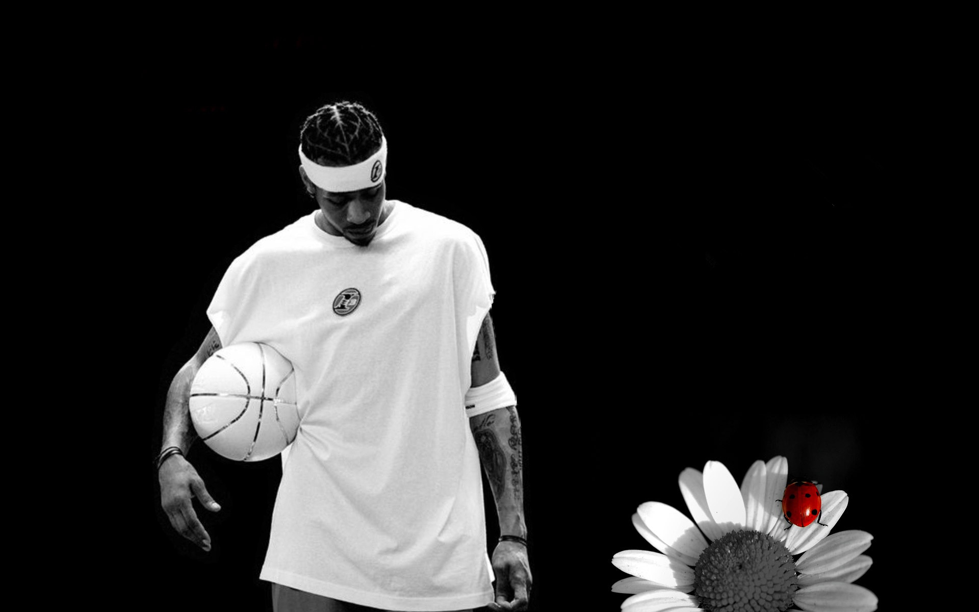 流量峰值稳 流量峰值稳